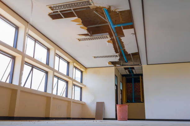 Best Commercial water damage restoration  in Iola, WI