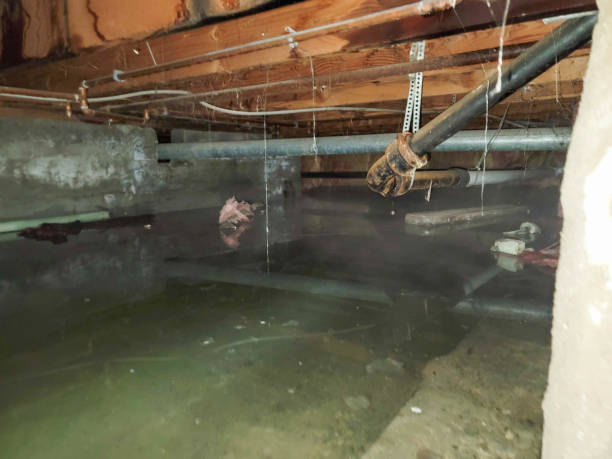 Best Fire Damage Restoration  in Iola, WI