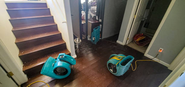 Best Local water damage restoration  in Iola, WI