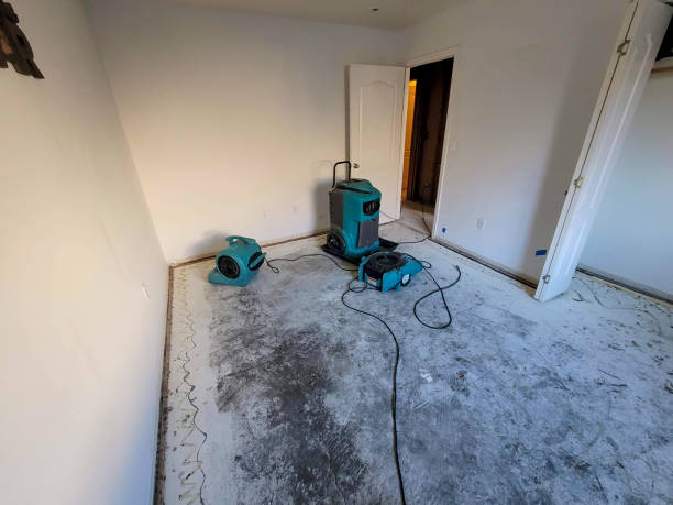 Best Sewage cleanup and water damage restoration  in Iola, WI