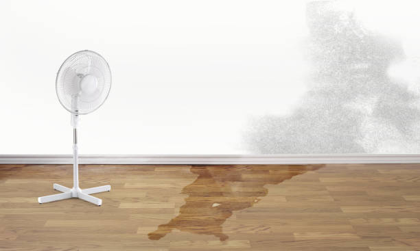 Best 24/7 water damage repair  in Iola, WI