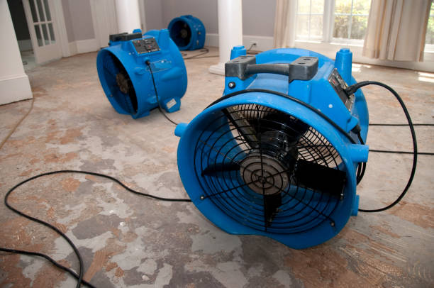 Best Water damage cleanup near me  in Iola, WI