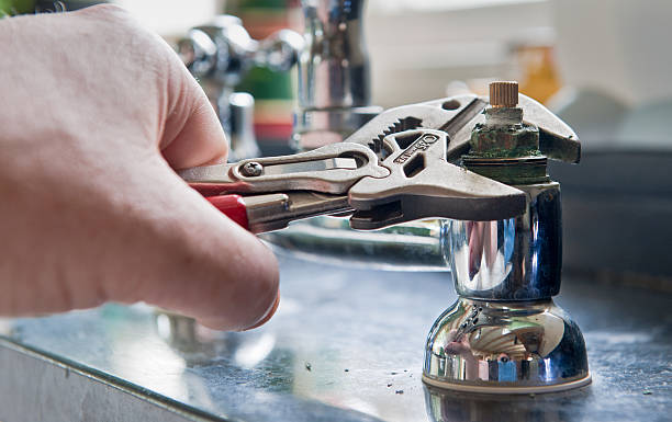 Best Mold removal after water damage  in Iola, WI