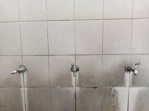 Best Ceiling water damage repair  in Iola, WI