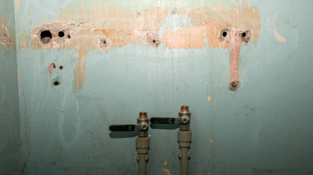 Best Basement water damage restoration  in Iola, WI
