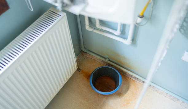 Best Carpet water damage restoration  in Iola, WI