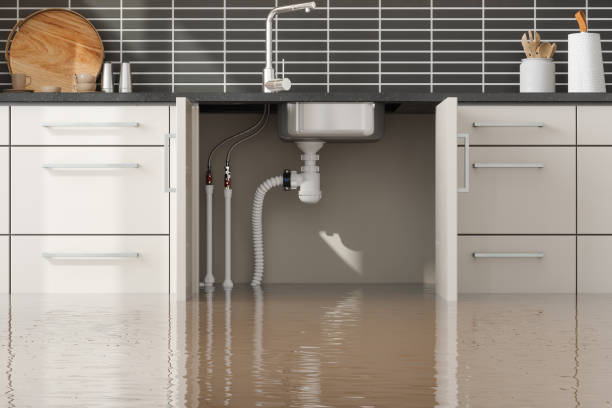 Reliable Iola, WI Water damage restoration Solutions