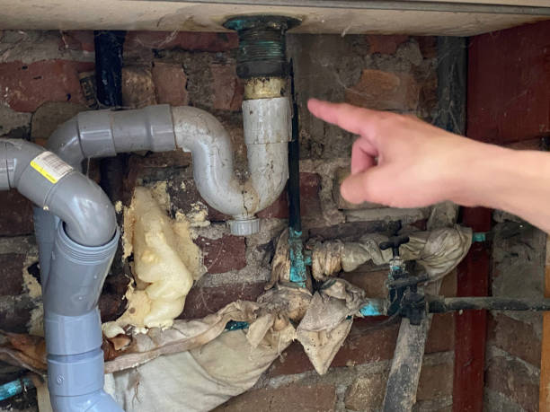 Best Ceiling water damage repair  in Iola, WI