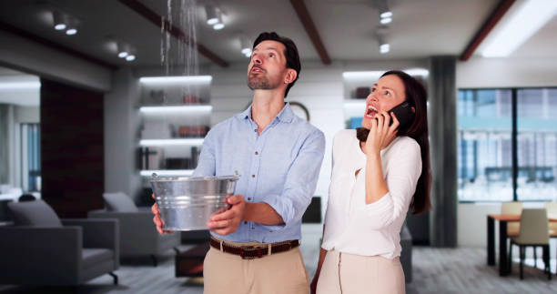 Best Sewage cleanup and water damage restoration  in Iola, WI