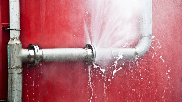 Best 24/7 water damage repair  in Iola, WI